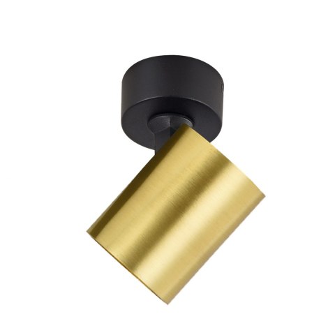 Reflektor Spot Snow 1 złoty 1xGU10 Light Prestige