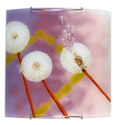 Lampa ścienna kinkiet 1X60W E27 dmuchawce 10-86337