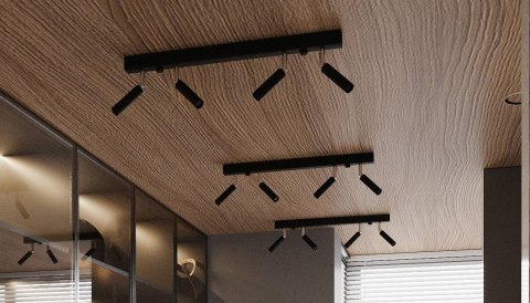 Sollux Lampa Plafon EYETECH 2 czarny