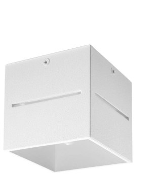 Sollux Lighting Plafon LOBO biały