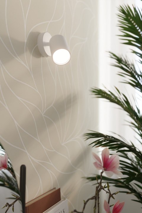 Sollux Lampa Plafon LEMMI 2 biały