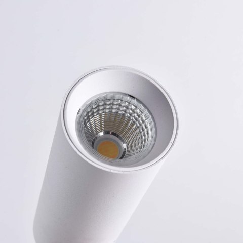 Reflektor Magnum do szynoprzewodów 3F 1xLED biały LP-8120/3F WH