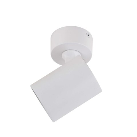 Reflektor spot Snow 1 biały 1xGU10 Light Prestige