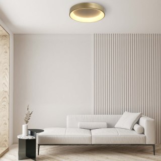 Plafon Lampa sufitowa Georgia 1xLED złoty LP-049/1C GD