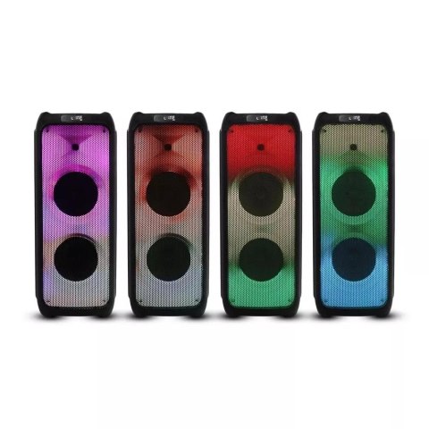 Głośnik przenośny V-TAC na kołach 100W Mikrofon Pilot 2xGłośnik 10cali VT-6310-2