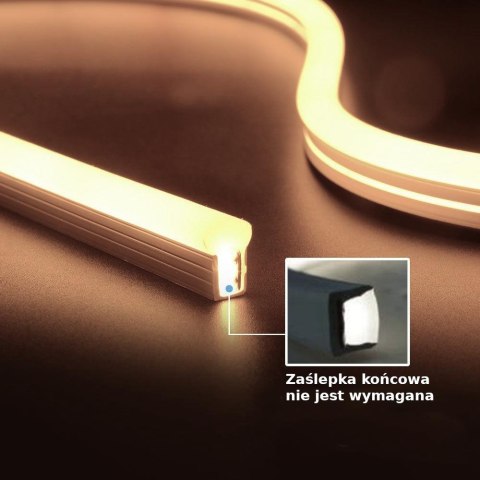 Neon Flex V-TAC 24V IP68 10mb Cięcie co 5cm 6,5W/m IP68 VT-554 Kolor Niebieski 260lm