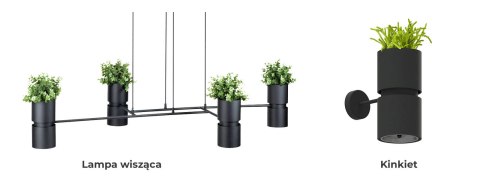 Sollux Lampa Kinkiet KUKKIA czarna