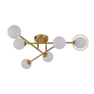 Zapasowy klosz Dorado 6 plafon Light Prestige