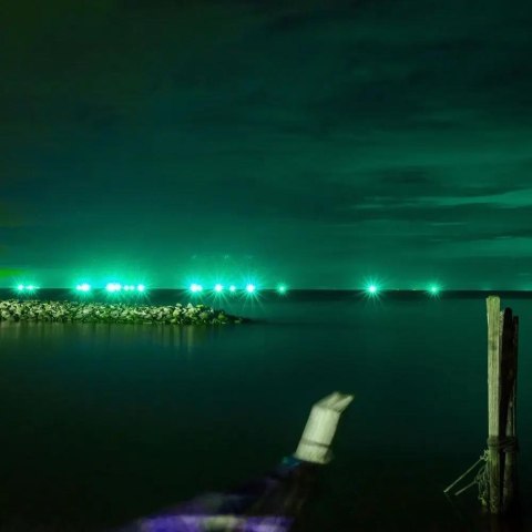 Projektor LED V-TAC 20W SMD E-Series Czarny VT-4021-G Kolor Zielony