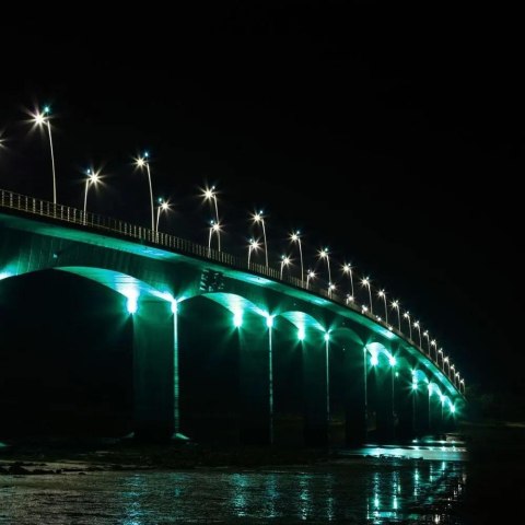 Projektor LED V-TAC 20W SMD E-Series Czarny VT-4021-G Kolor Zielony