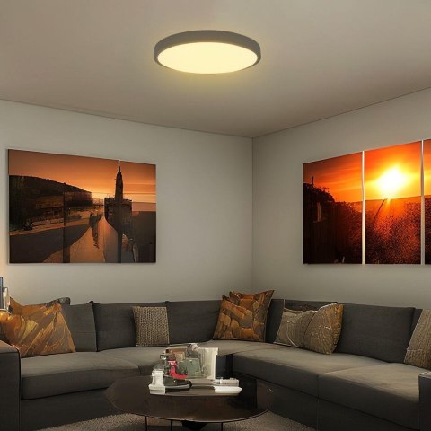 18W LED DOME LIGHT WITH SAMSUNGCHIP 4000K RD,BLACK FRAME IP44