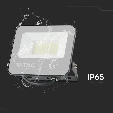 30W FLOODLIGHT RGB + WHITE BLACK BODY GREY FROSTED GLASS WITH CONTROLLER IP65