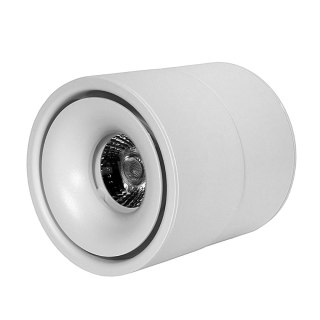 Ruchomy Spot LED EZ-CL06A-12 12W 4000K biały
