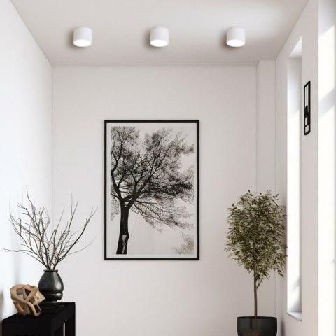 Oprawa natynkowa Kendal biała IP65 GX53