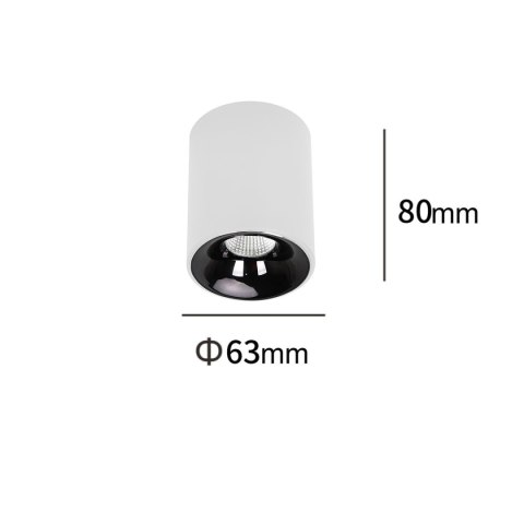 Oprawa natynkowa Tom biała LED CCT Light Prestige