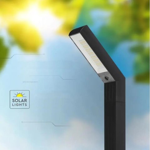 1.5W LED STAND & SPIKE SOLAR LED LIGHT 2 IN 1 CCT ADJUSTABLE BLACK BODY IP65