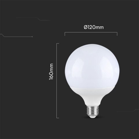22W G120 plastic bulb 6500K E27