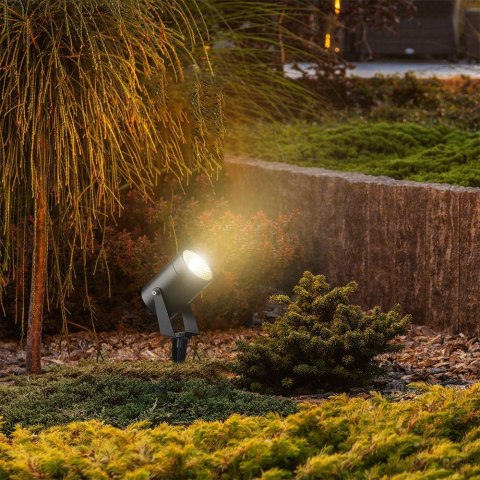 VT-80070 10W LED spike light aluminum COLORCODE:3000K black body IP65