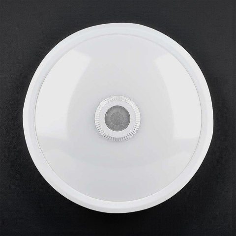 12W LED DOME LIGHT WITH SENSOR WITH CREE CHIP 4000K WHITE BODY