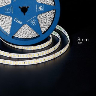 168 12W LED STRIP LIGHT WITH CREE CHIP 6500K IP20 24V 8MM DOUBLE PCB
