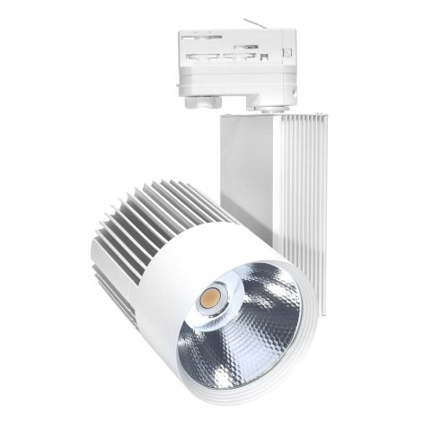 Reflektor Szynowy DD-03 30W 3000K Biały