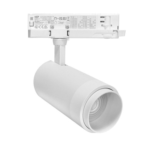 Reflektor Szynowy DD-04 10W-30W 3000K Biały