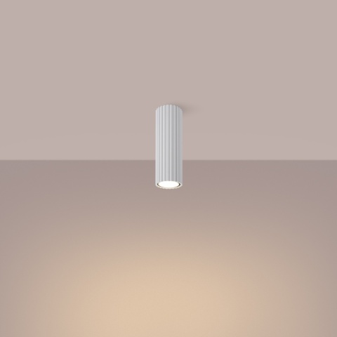PLAFON LAMPA SUFITOWA REFLEKTOR TUBA SPOT KARBON 20 biały