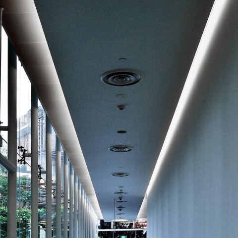 9W/M LED NEON STRIP LIGHT 6500K IP65 24V (10M/ROLL)(PRICE/M)