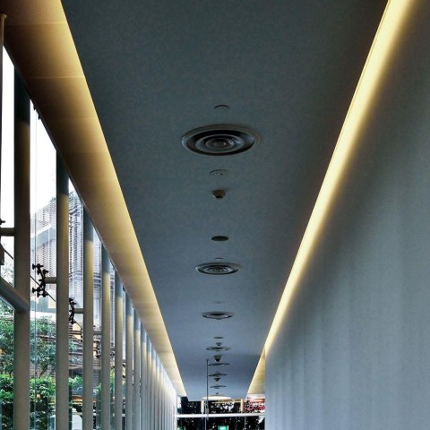 9W/M LED NEON STRIP LIGHT 3000K IP65 24V (10M/ROLL)(PRICE/M)