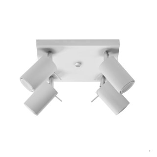 Sollux Lighting Plafon RING 4 biały