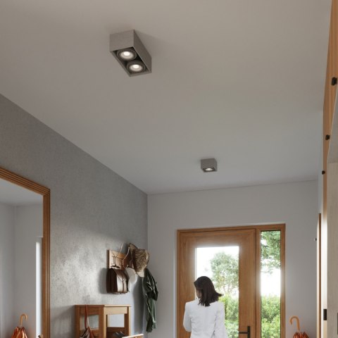Sollux Lighting Plafon QUATRO 2 beton