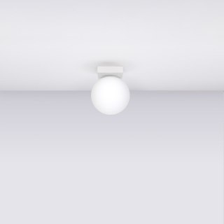 Sollux Lighting Plafon YOLI 1 biały
