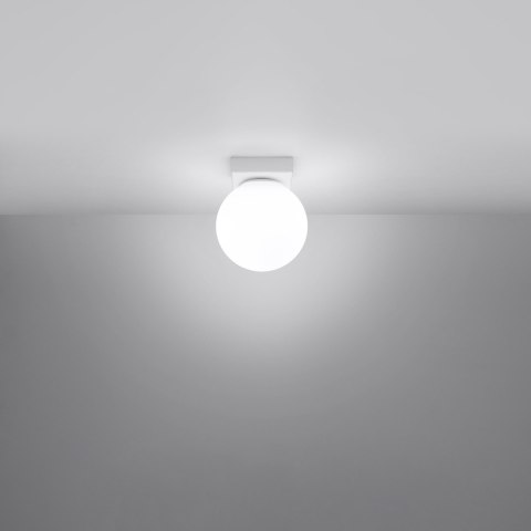 Sollux Lighting Plafon YOLI 1 biały
