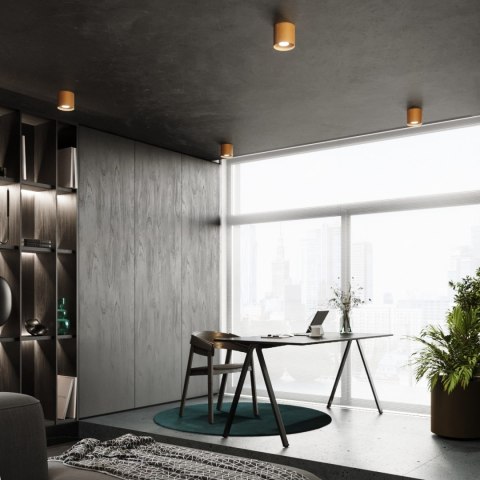 Sollux Lighting Plafon MIKA złoty