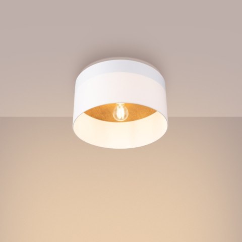 Sollux Lighting Plafon TELESTO biały/jasny brąz