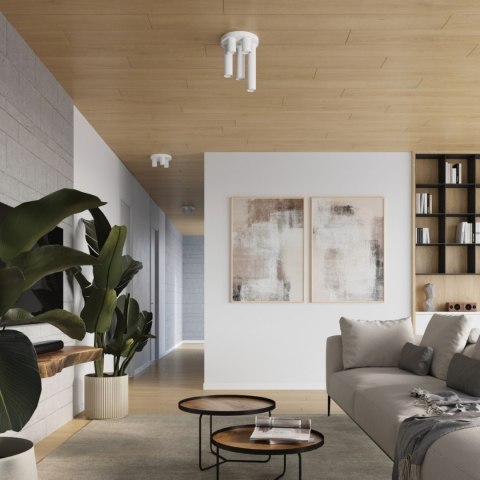 Sollux Lighting Plafon LAGOS 3P biały
