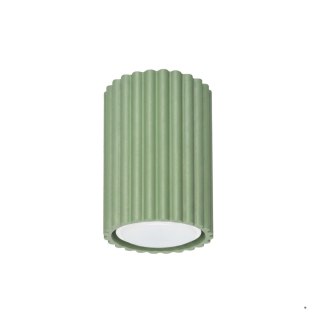 Sollux Lighting Plafon KARBON 10 szałwiowy