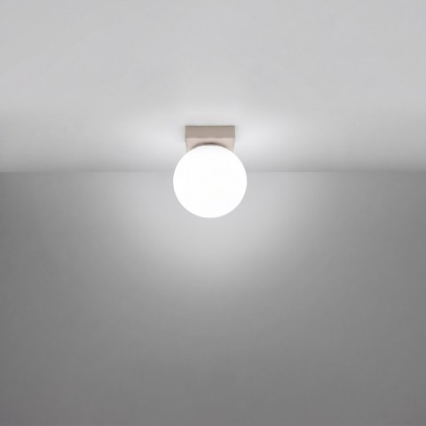 Sollux Lighting Plafon YOLI 1 taupe