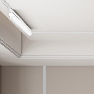 Light Prestige Reflektor Magnetic Slim Fizz 12W LED CCT biały
