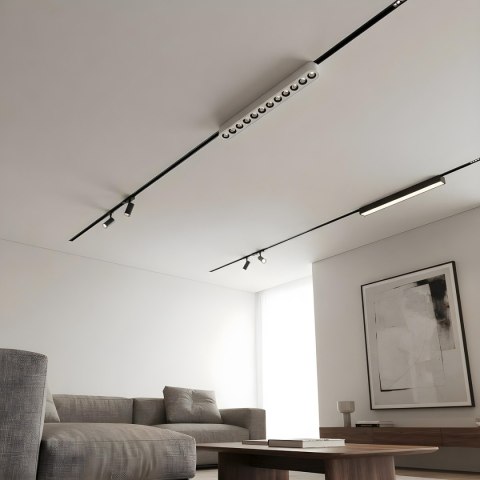 Light Prestige Reflektor Magnetic Slim Zing 12W LED CCT biały